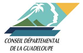 conseil-departemental